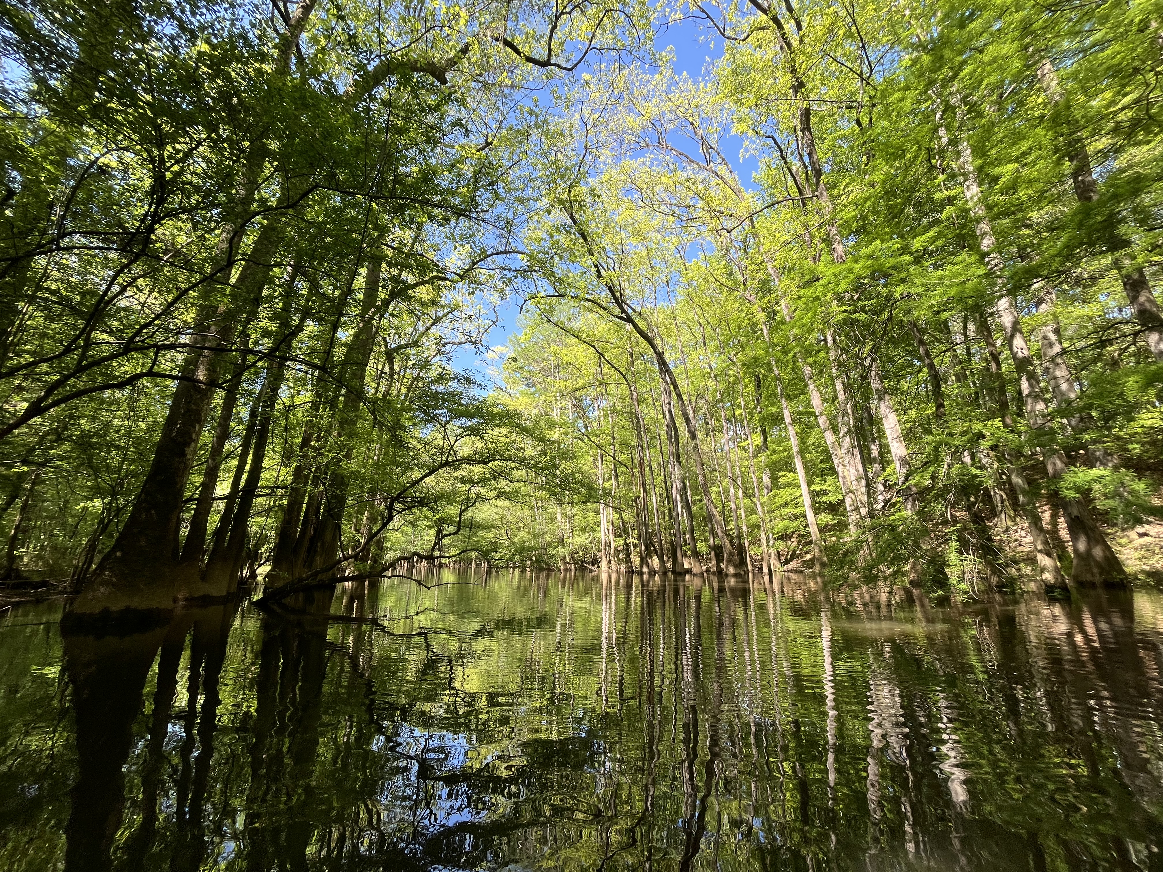 Kayaking at Cedar Creek